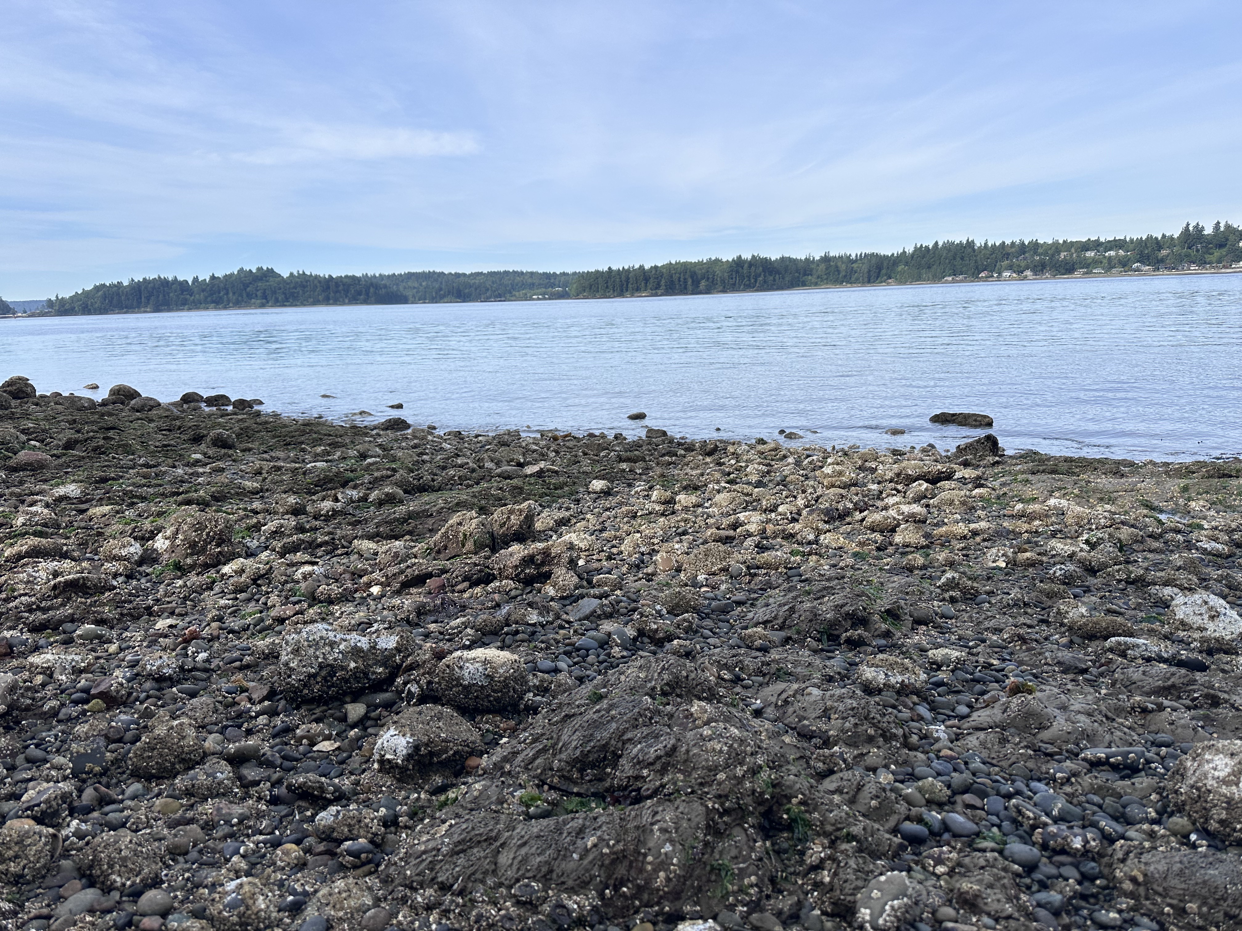 Fort Ward dive site, Bainbridge Island, Washington, United States