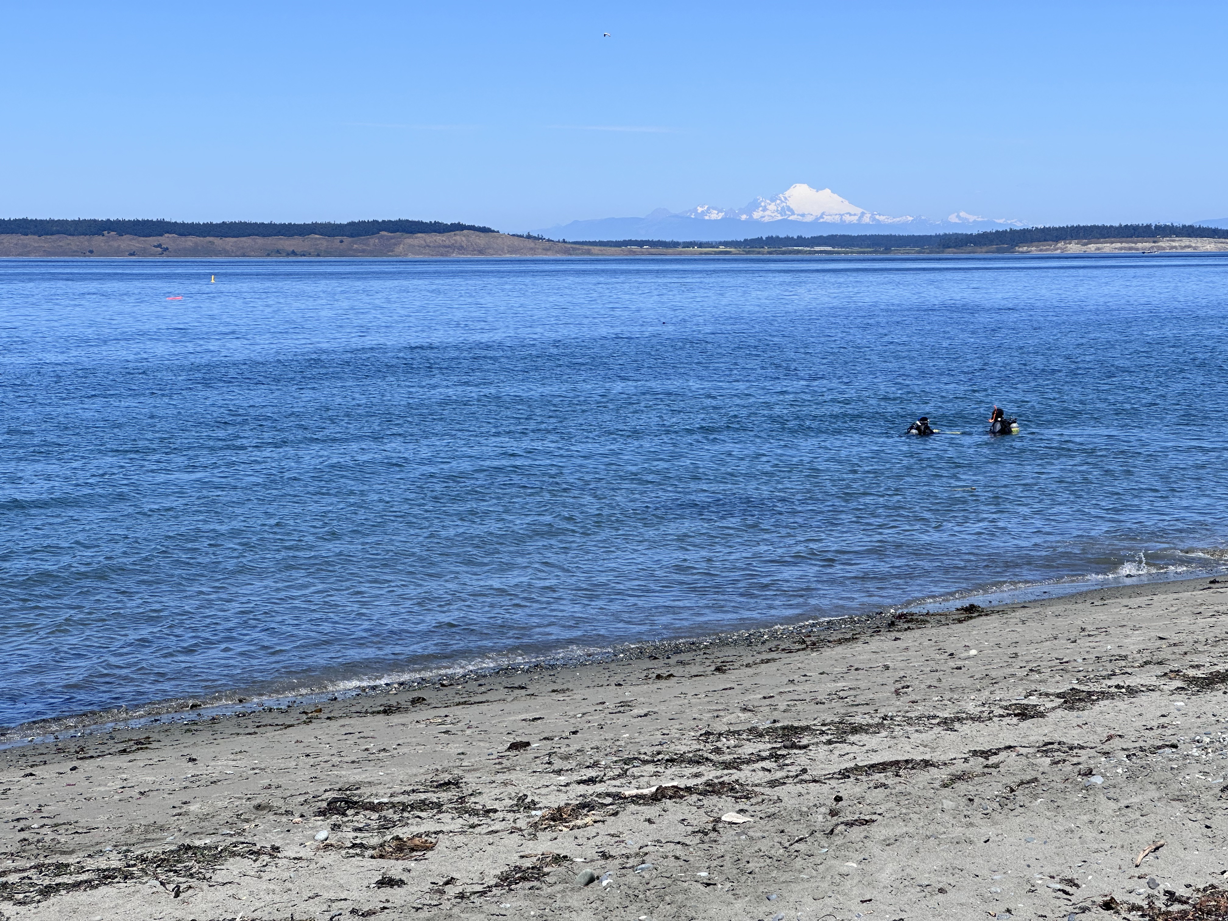 Port Townsend dive site, Port Townsend, WA, US